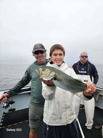 Newport Report Photo 1