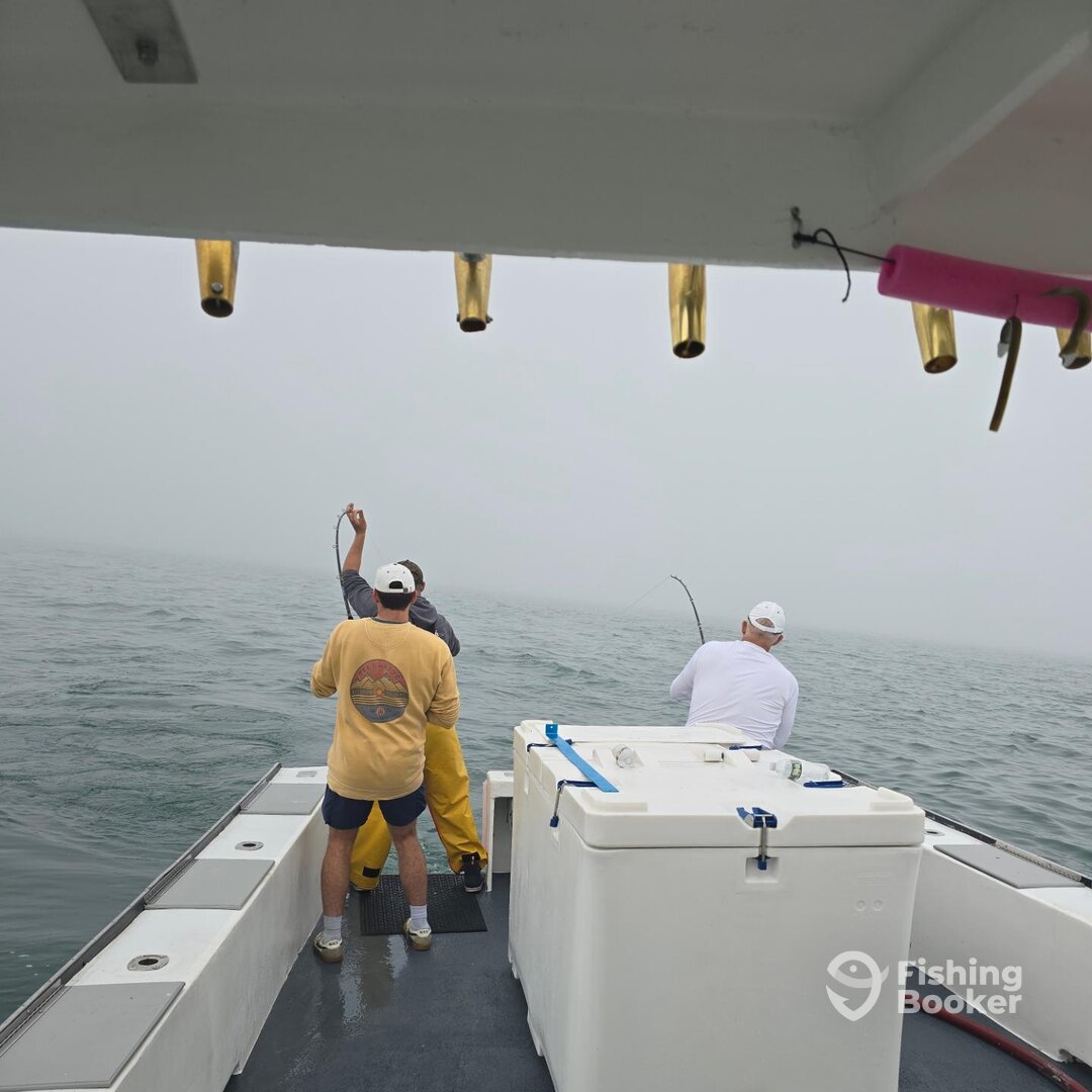Narragansett Report Photo 0