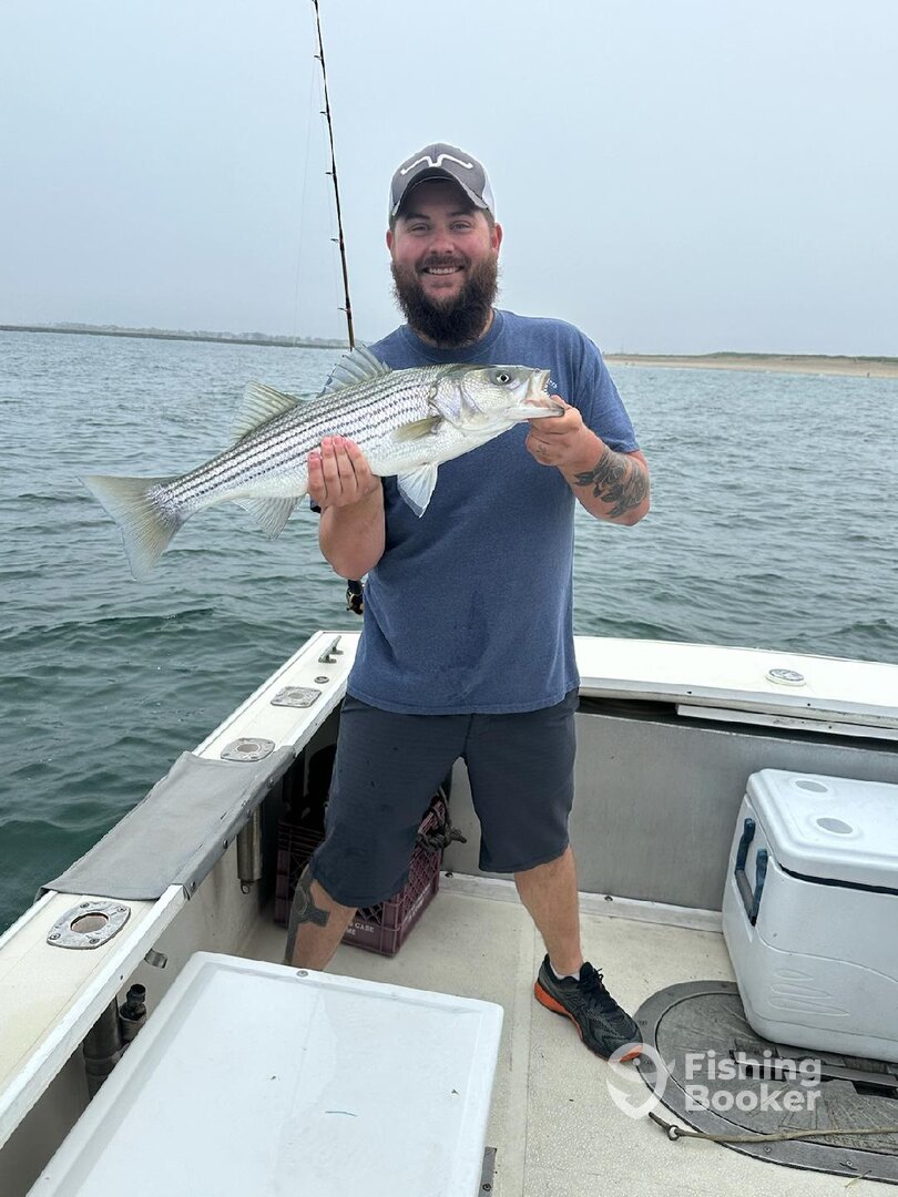Newburyport Report Photo 0