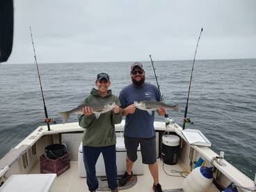 Newburyport Report Photo 2