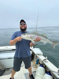 Newburyport Report Photo 1