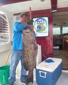 Groupers