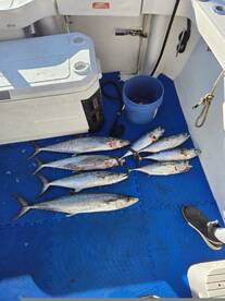 Niceville Report Photo 1
