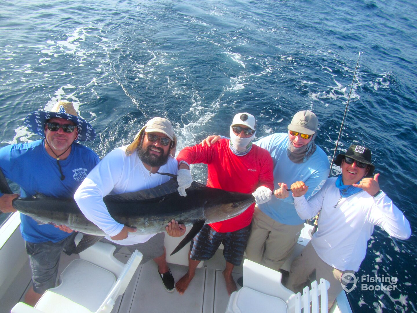 Cabo San Lucas Report Photo 0