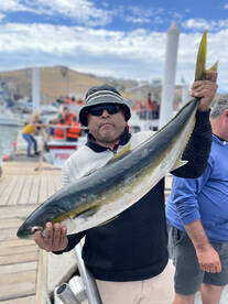 Ensenada Report Photo 1