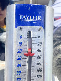 Ensenada Report Photo 2