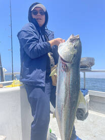 Ensenada Report Photo 1