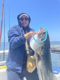 Big boys  and new ensensda record yellow