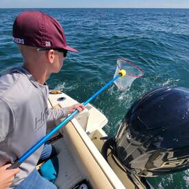 Lakeside Marblehead Report Photo 2