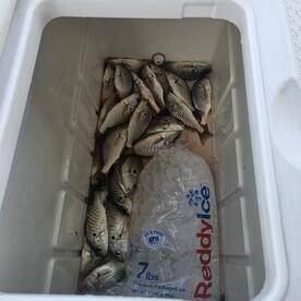 Chesapeake Beach Report Photo 2