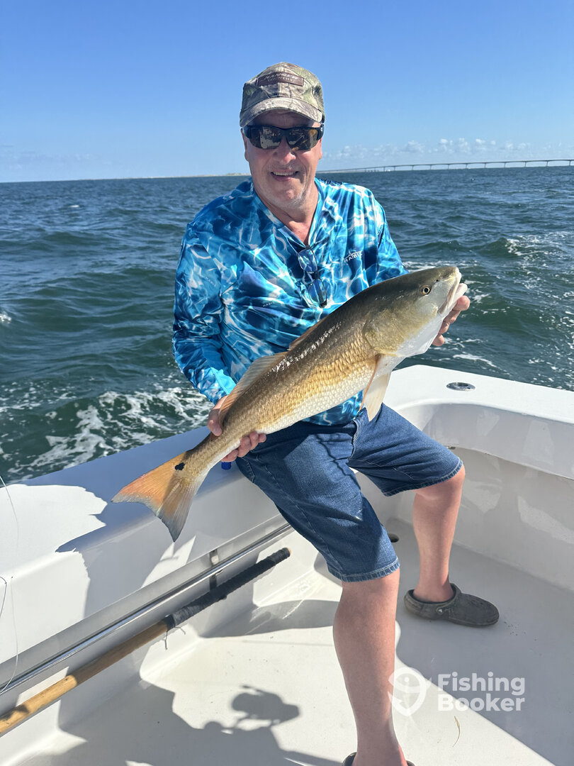Manteo Report Photo 0