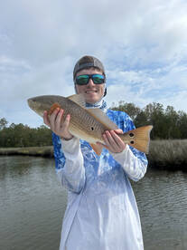 Beaufort Report Photo 1