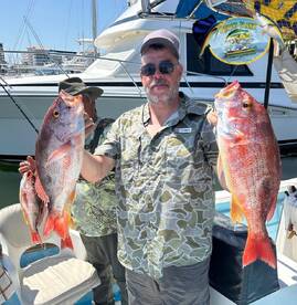 Mazatlán Report Photo 2