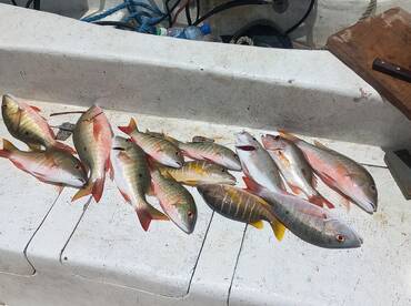San Pedro Report Photo 2