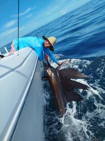 Sailfish kinda day 