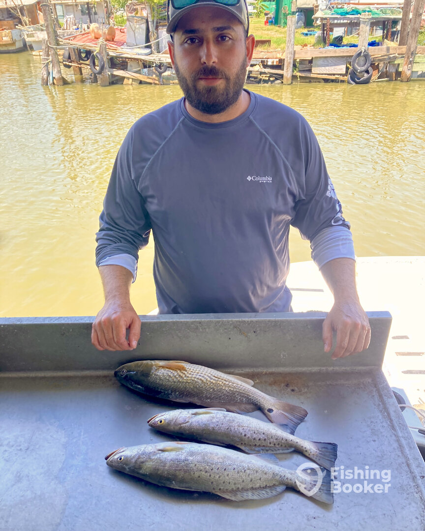 Texas City Report Photo 0