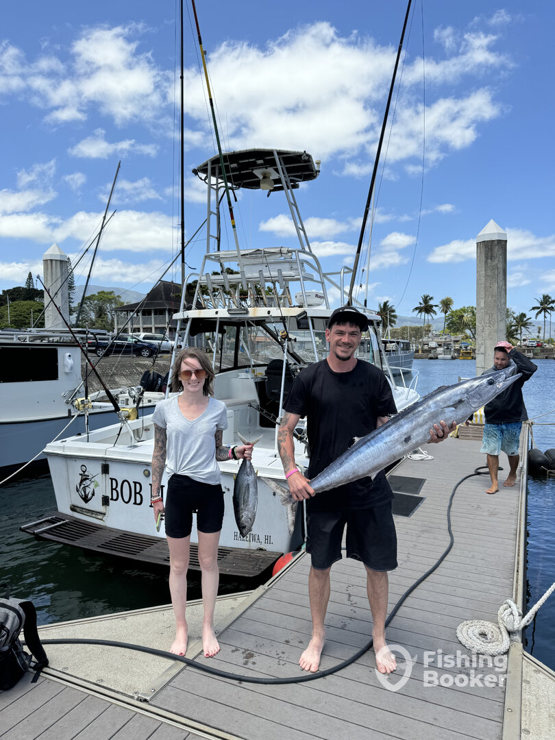 Haleiwa Report Photo 0