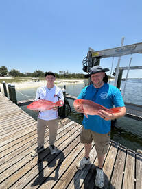 Snapper Season is halfway over