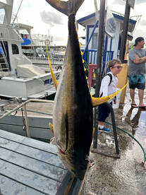 Honolulu Report Photo 2