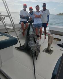 Le Morne Report Photo 2