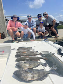 Summer black & reddrum