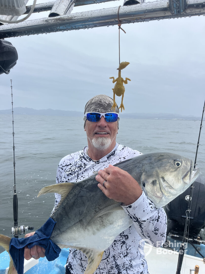 Puerto Vallarta Report Photo 0
