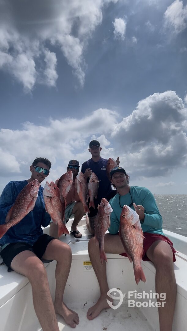 Fairhope Report Photo 0