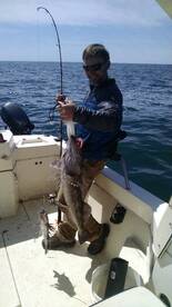 Rockfish & Lingcod on the bite!