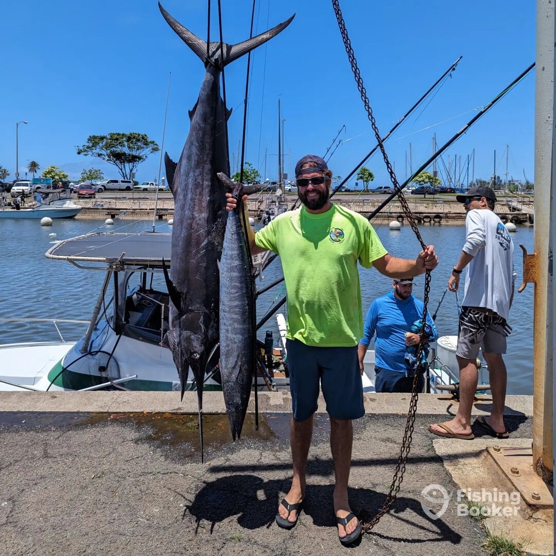 Haleiwa Report Photo 0