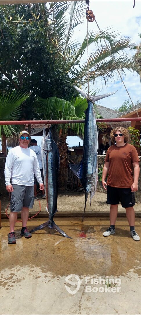 San Jose del Cabo Report Photo 0