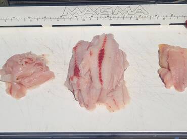 Pasadena Report Photo 1