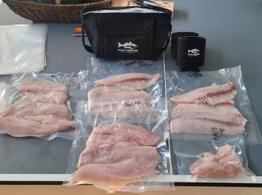 Pasadena Report Photo 2