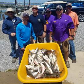 Grand Isle Trout Action!!!