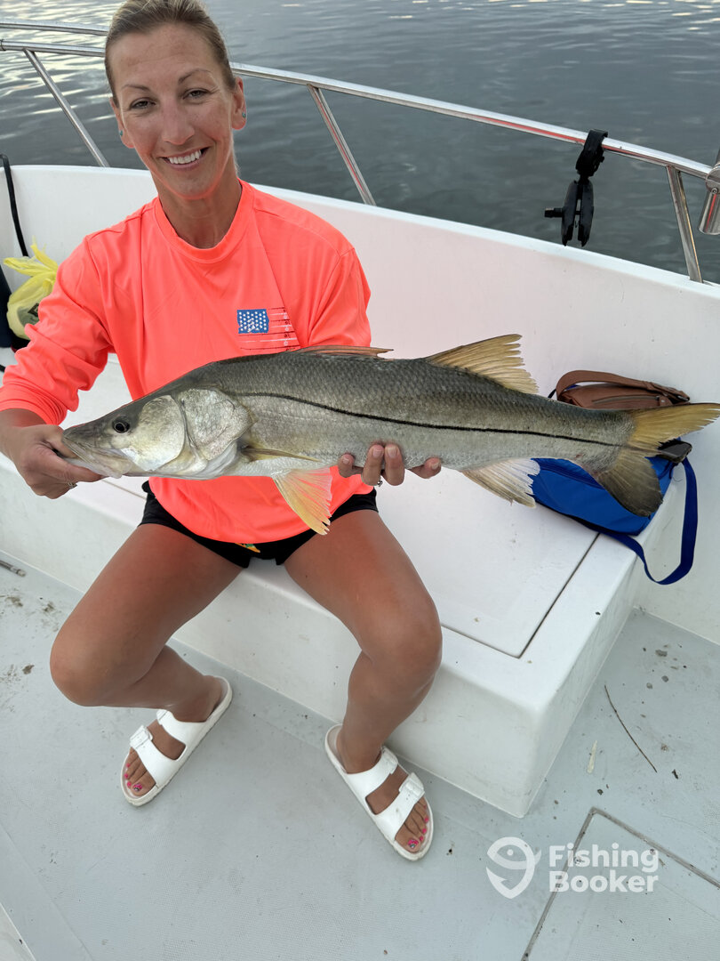 Port Orange Report Photo 0