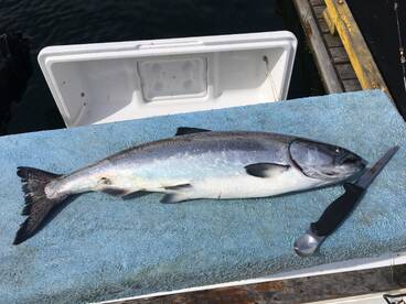 Nanaimo fishing still hot