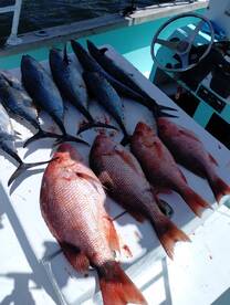 Destin Report Photo 2