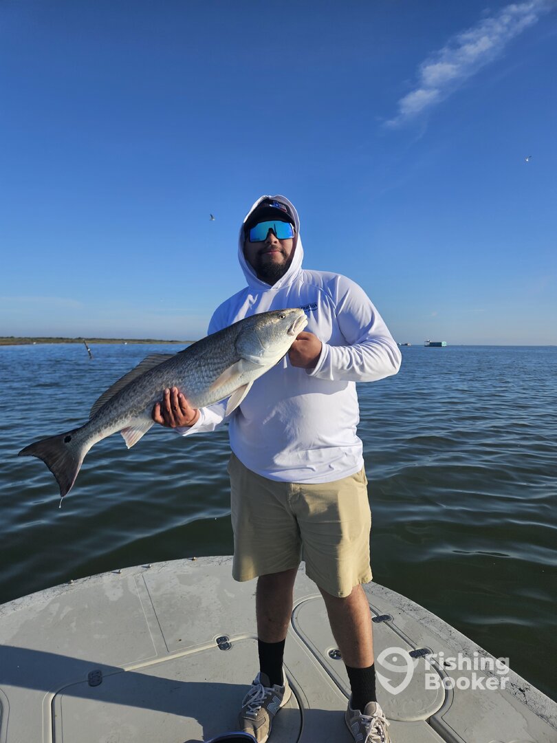 Corpus Christi Report Photo 0