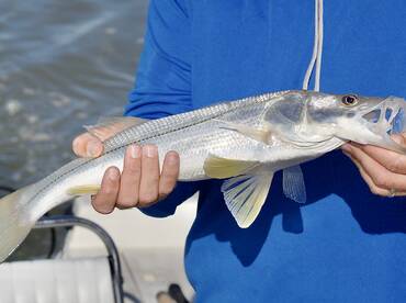 Homestead Report Photo 1