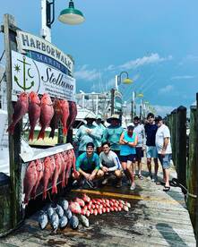 Destin Report Photo 2