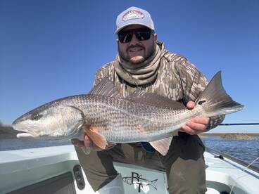 Hilton Head Island Report Photo 2