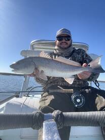 Hilton Head Island Report Photo 1