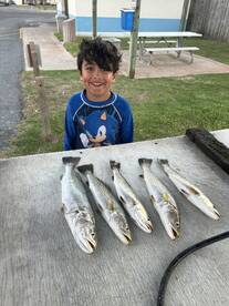 Port Isabel Report Photo 2