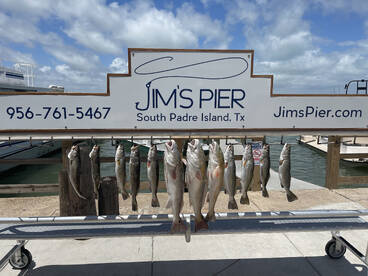 South Padre Island Report Photo 1