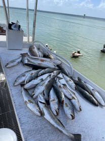 South Padre Island Report Photo 2