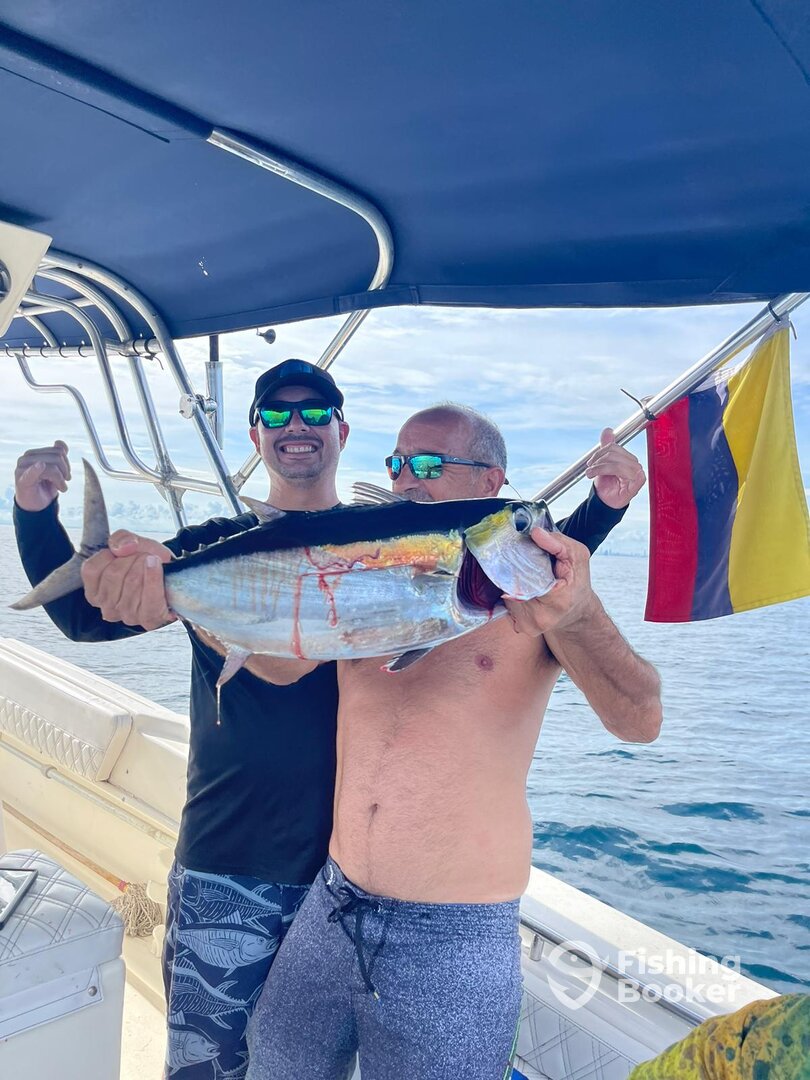 Cartagena Report Photo 0