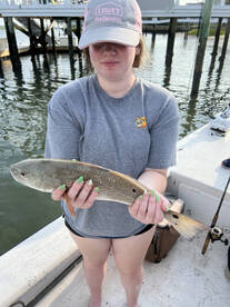 North Topsail Beach Report Photo 2
