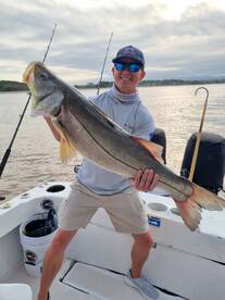 Sea bass accion