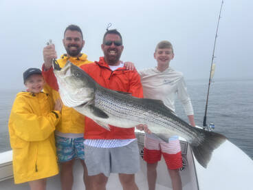 Dennis Report Photo 1