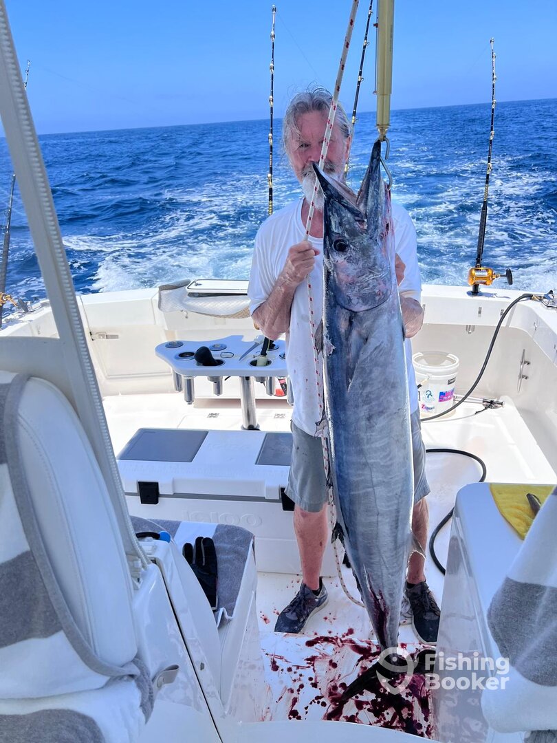 San Jose del Cabo Report Photo 0