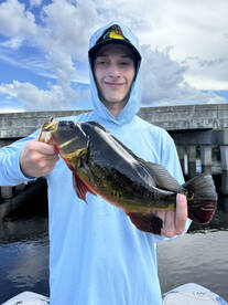 Southwest Ranches Report Photo 1